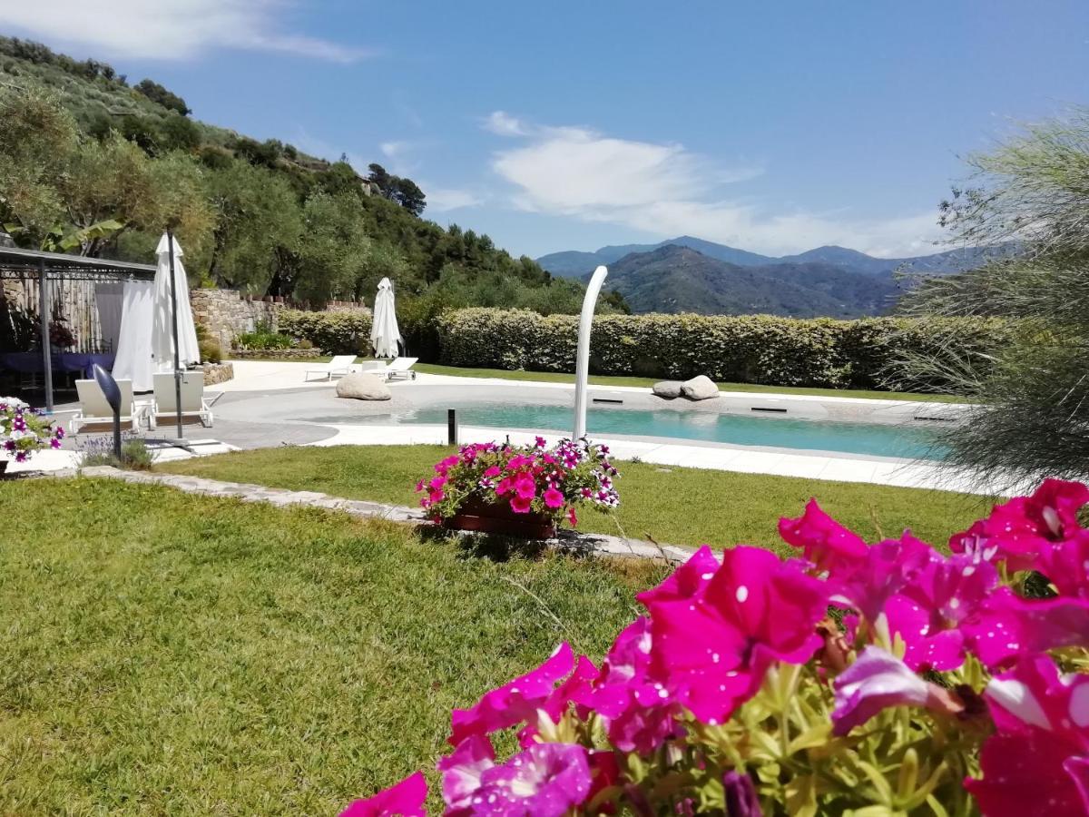 La Cicala Stonata Bed & Breakfast Dolceacqua Dış mekan fotoğraf