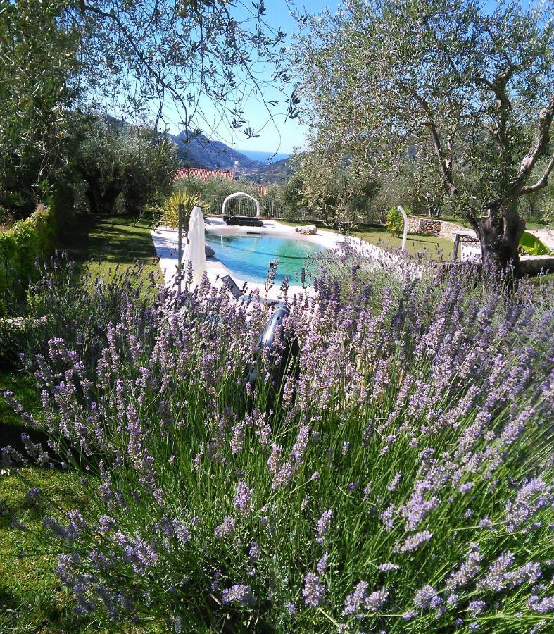 La Cicala Stonata Bed & Breakfast Dolceacqua Dış mekan fotoğraf