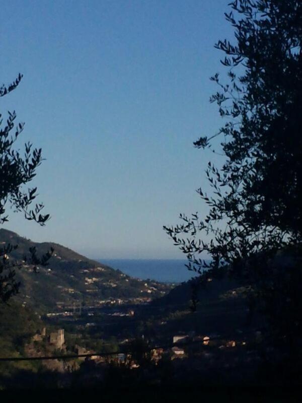 La Cicala Stonata Bed & Breakfast Dolceacqua Dış mekan fotoğraf