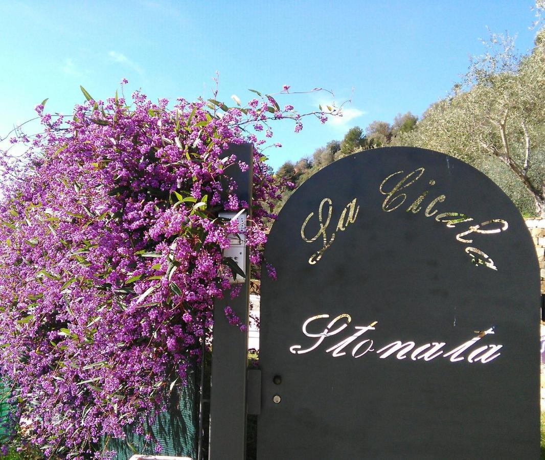 La Cicala Stonata Bed & Breakfast Dolceacqua Dış mekan fotoğraf