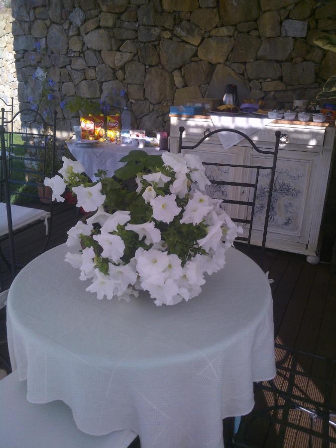 La Cicala Stonata Bed & Breakfast Dolceacqua Dış mekan fotoğraf
