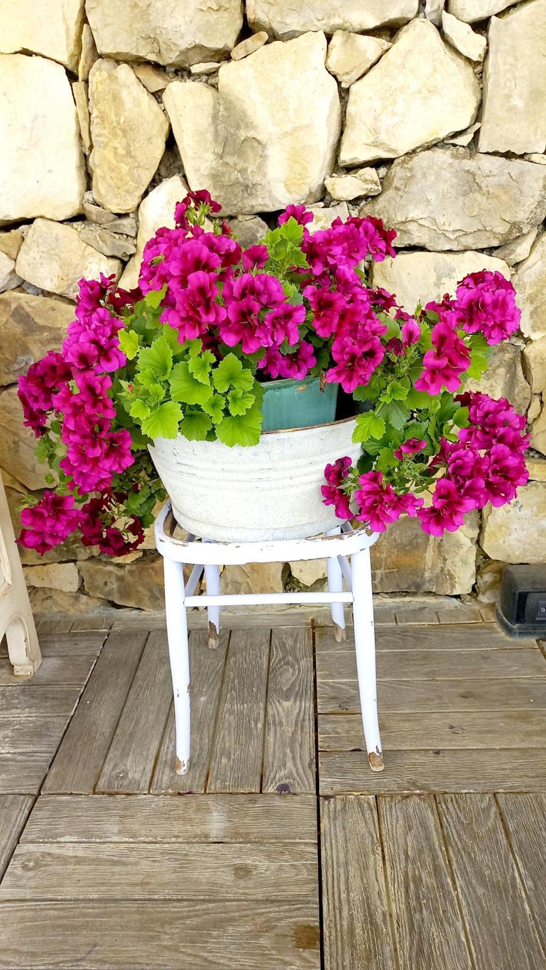 La Cicala Stonata Bed & Breakfast Dolceacqua Dış mekan fotoğraf