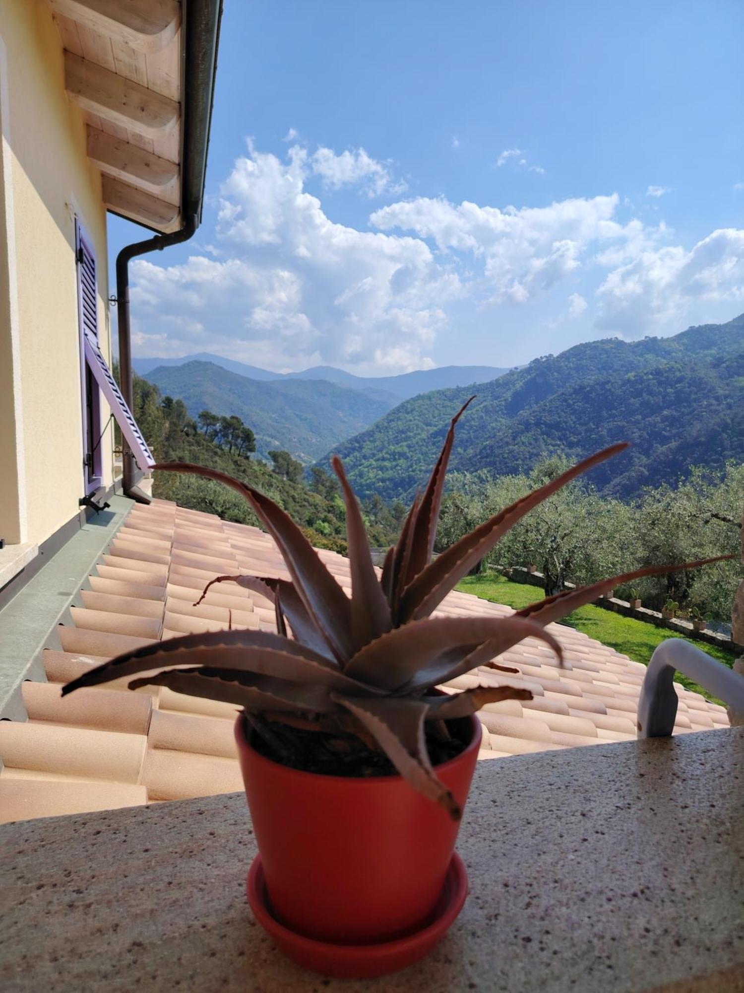 La Cicala Stonata Bed & Breakfast Dolceacqua Dış mekan fotoğraf